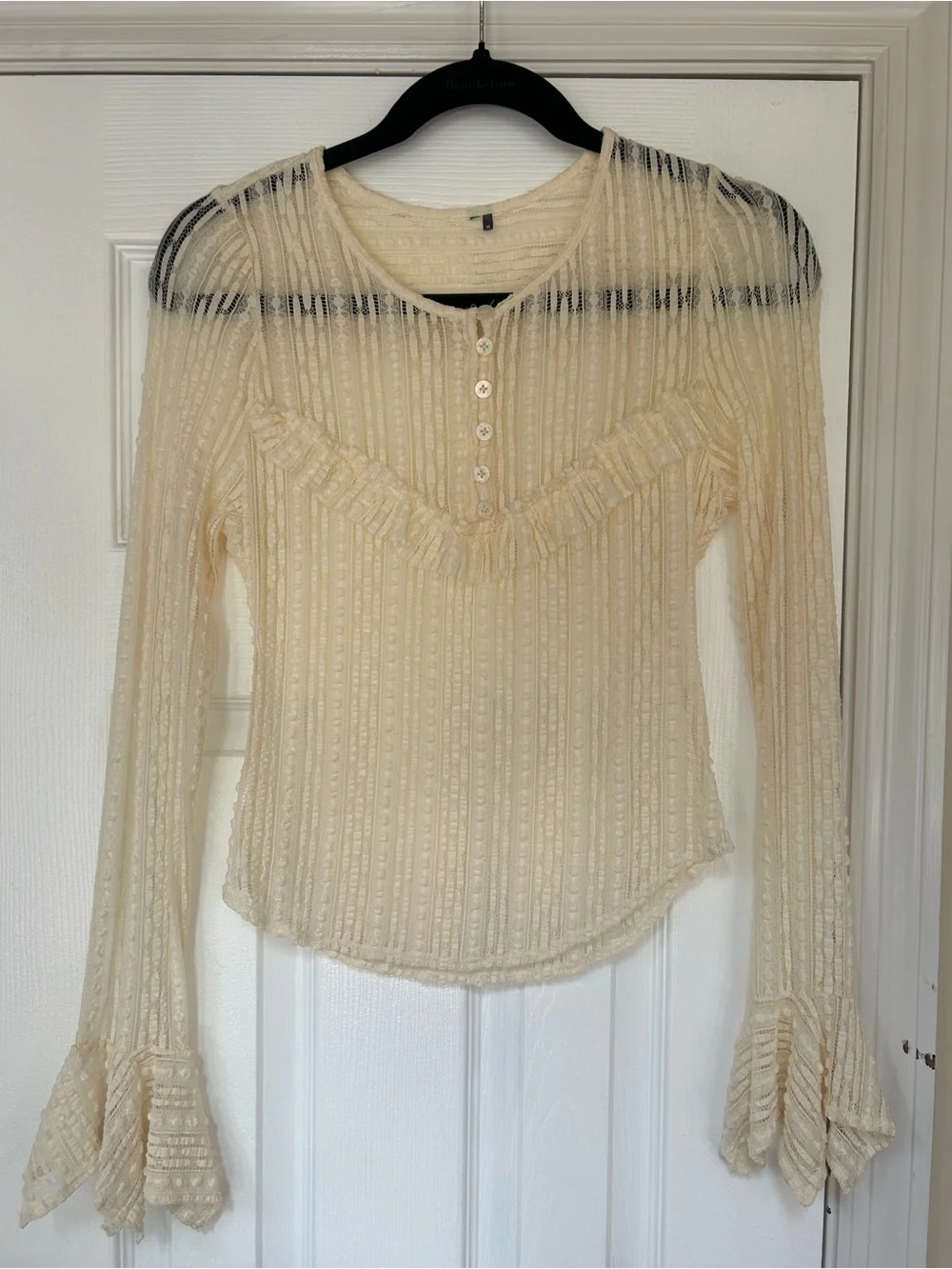 Anthropologie Sheer Lace Long Sleeve Top